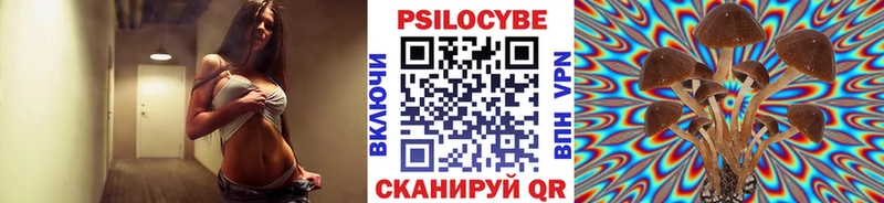 наркошоп  Богучар  OMG ссылка  Галлюциногенные грибы MAGIC MUSHROOMS 