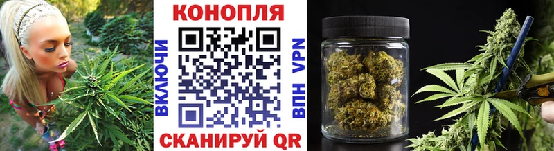 хочу наркоту  Богучар  Шишки марихуана конопля 