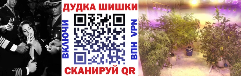 Бошки Шишки конопля Богучар